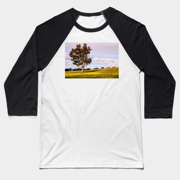 Spring has Arrived Baseball T-Shirt by jwwallace